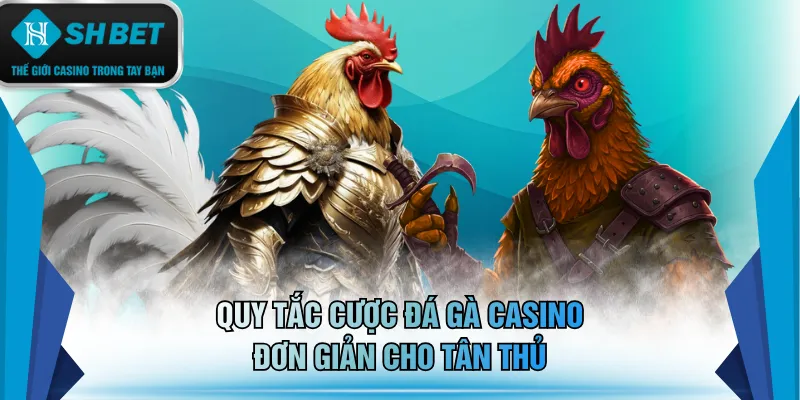 Quy tắc cược đá gà casino đơn giản cho tân thủ